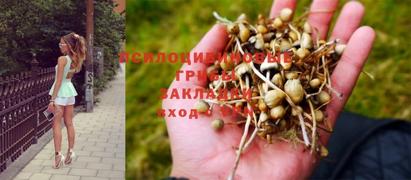 тгк Навашино