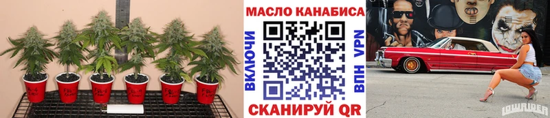 ТГК вейп с тгк  hydra ссылка  Куса 
